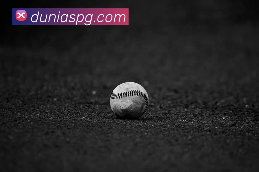 pg官网平台生态图