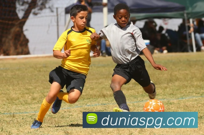 辅助工具 辅助工具